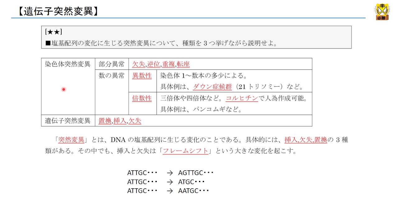 遺伝子突然変異 高校生物 Youtube