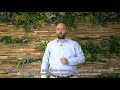 7 Experiences² Summit 2021 | Breda University of Applied Sciences