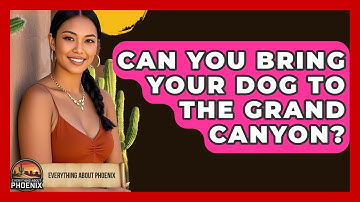 Can You Bring Your Dog To The Grand Canyon? - Everything About Phoenix