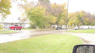 Alberta Fall - Rain Footage No Filter Using DJI Osmo Pocket #shorts #rain #nofilter #djiosmopocket