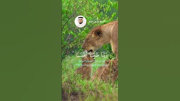 الشيخ فارس عباد  #اكسبلور#explore #قران_راحة_نفسية #قرآن #لايك #سورة_الأعراف