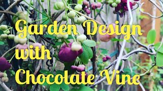 Designing with Chocolate Vine and Other Spring Things