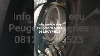 info service ecu #peugeot all series wa 085811026543 / 081297174523