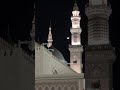 🤍🤌🏻🥺 #yarasoolallahﷺ #islamicstatus #love #everyone
