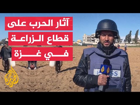 القصف المستمر وتجريف الأراضي تسببا في تدمير مساحات زراعية كبيرة في قطاع غزة