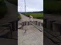 彩绘 在马路上画一个坑会怎样呢？