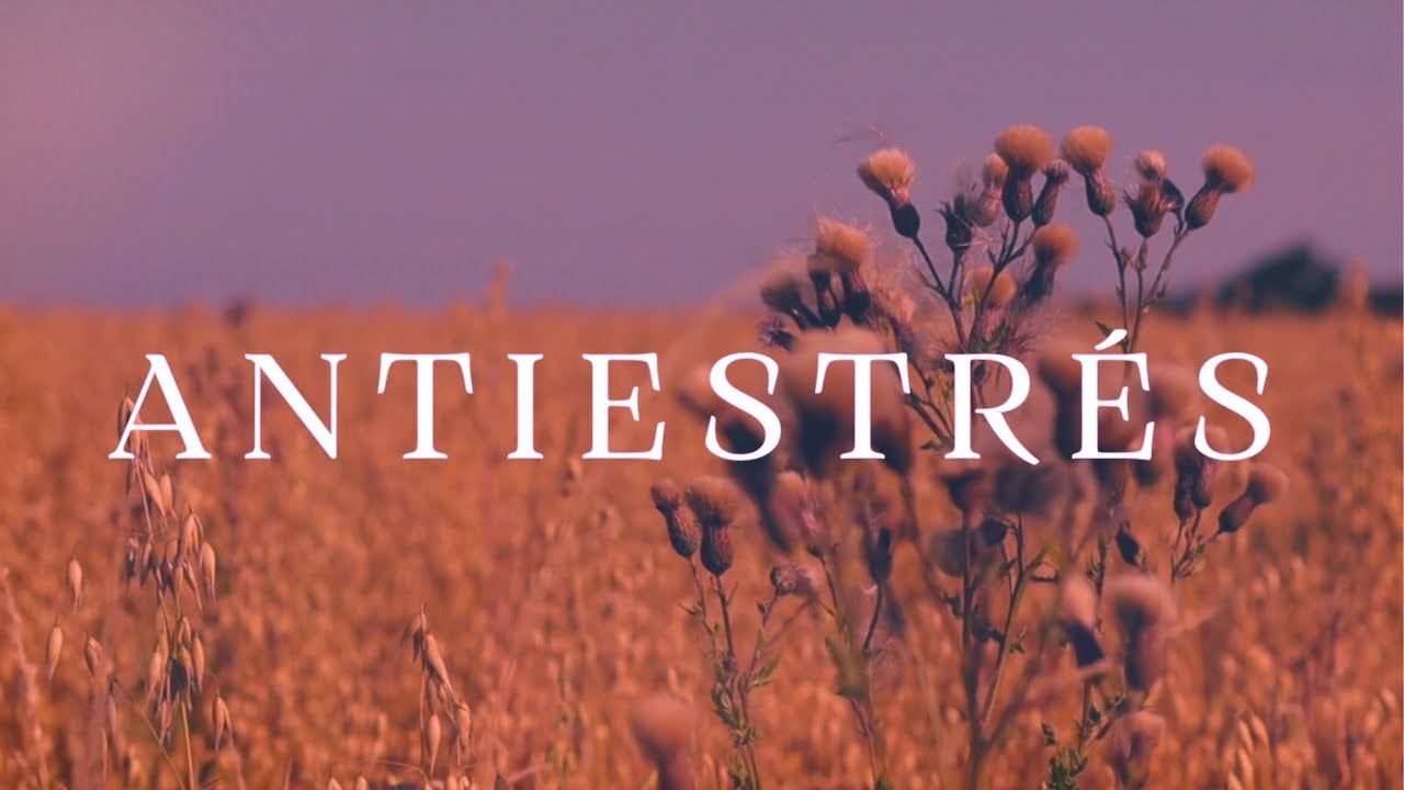 ANTIESTRÉS 🌾 Música Relajante para Reducir el Estrés y Calmar la Ansiedad