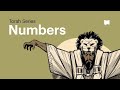 The Book of Numbers