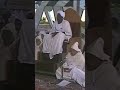 الدكتور عبد الله الطيب رحمه الله