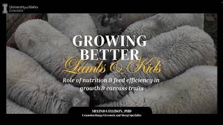 Growing Better Lambs and Kids   Nutrition and Feed Efficiency
