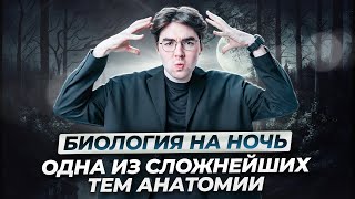 Все об иммунитете для ОГЭ | Биология на ночь