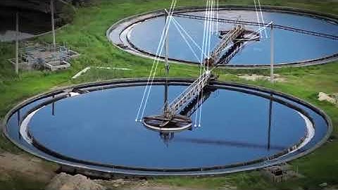 Automation Everywhere