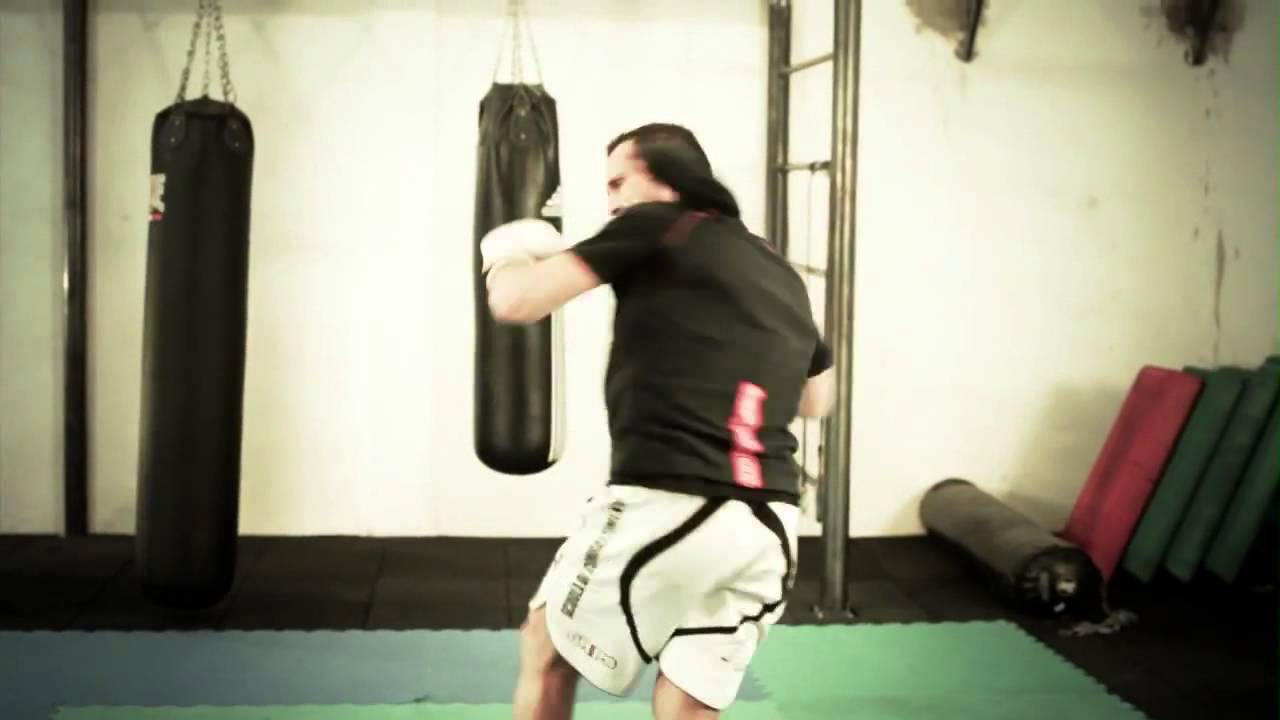 Milano in the Cage   Born to Fight Girls and Fighters