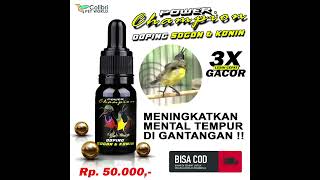 058771029899 | Doping burung sogon dan konin terbaik bikin gacor #shorts #sogon #konin