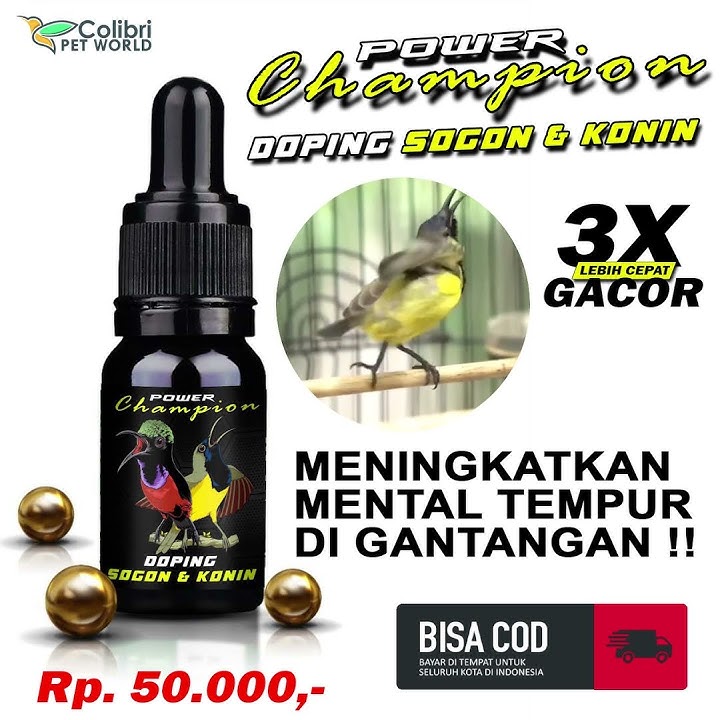 058771029899 | Doping burung sogon dan konin terbaik bikin gacor #shorts #sogon #konin