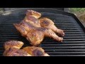 Calabrian Grilled Chicken Recipe - Grilled Chicken with Calabrian Pepper Marinade