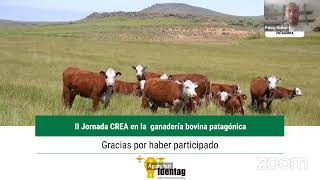 II jornada CREA en la ganadería bovina patagónica.