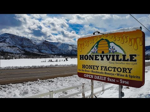 Honeyville: The Story Behind the Honey House