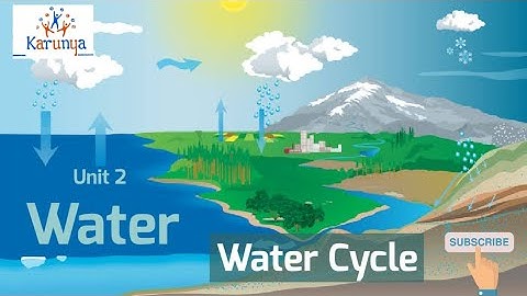 Vth Std Science TERM 2 Unit 2: Water - Water Cycle PART 2