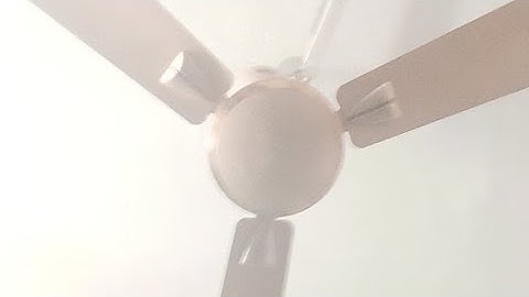 Mppsc pre 2020 Result Out Cut Off