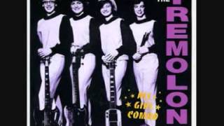Video thumbnail of "The Tremolons --- Theme for a DJ"