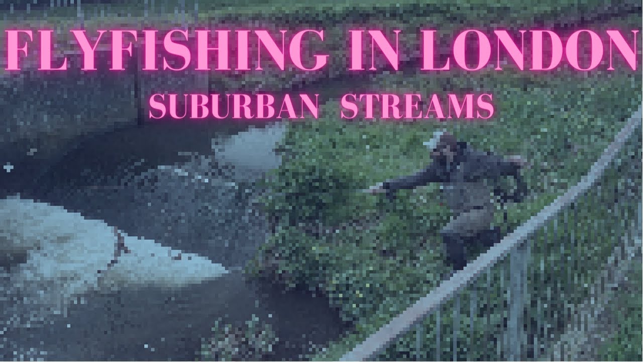Ловля крупной рыбы нахлыстом: ловля нахлыстом в крошечном лондонском ручье