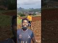 Fertilizing the Corn Fields#agri#fertilizer #shorts