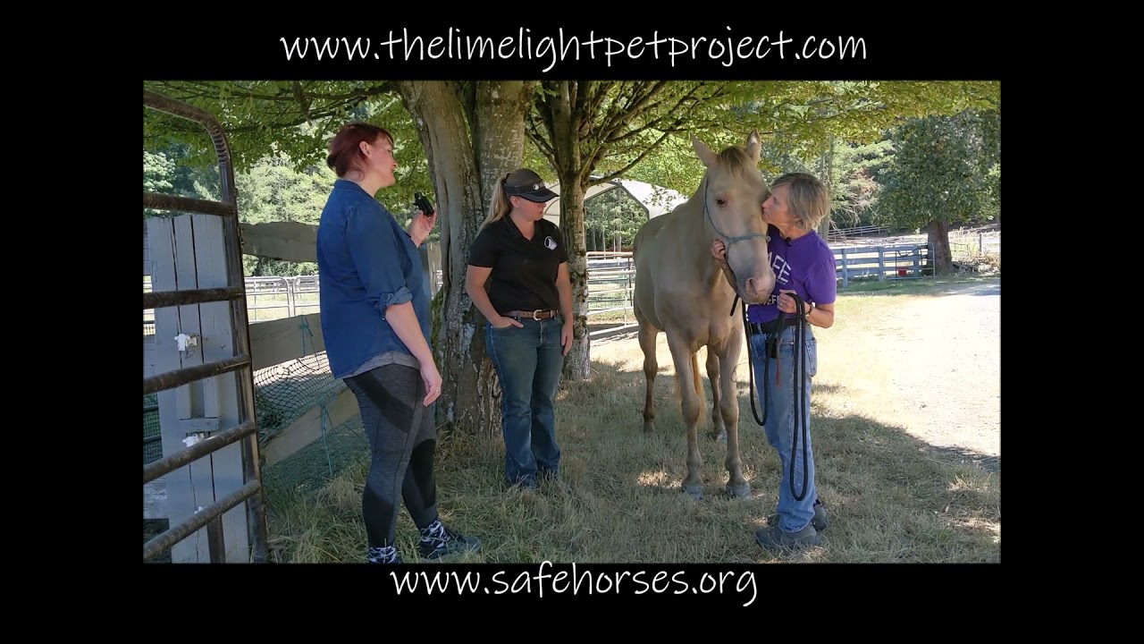 Meet Jasper! *ADOPTED!*