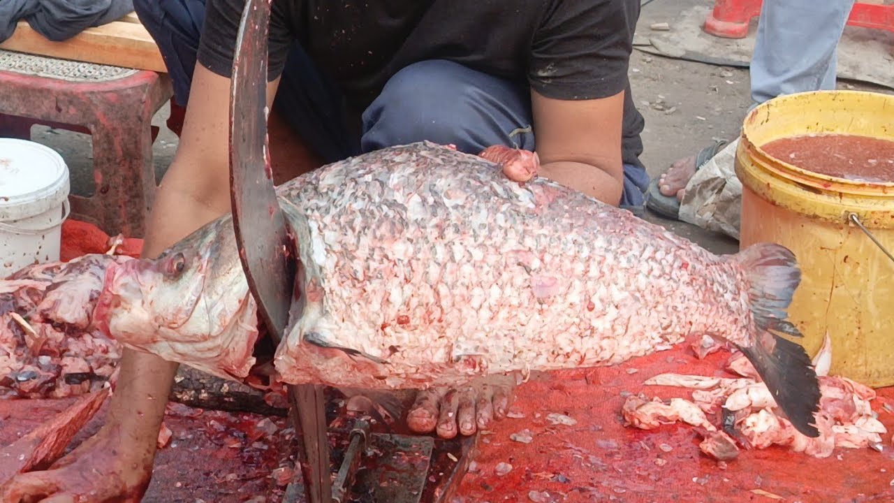 I never seen II giant katol fish cutting skill 