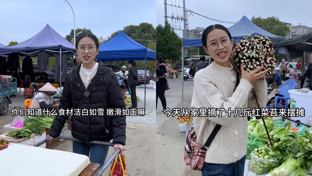 白菜让婶婶做了两板豆腐去赶集，看看到底能挣多少钱？｜摘了10多斤红菜苔去摆摊，熙熙攘攘的南方菜市场充满了温情！