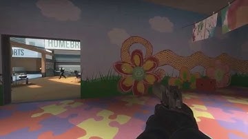 filthy wallhacker in csgo