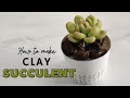 How to make Clay Succulent | DIY Air Dry Clay Succulent.