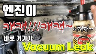 BADA.TV 바다티비