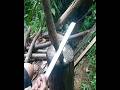 golok buat ngiris kayu!!!!