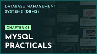 MySQL Practicals | Chapter 5 | Database Management Systems (DBMS)