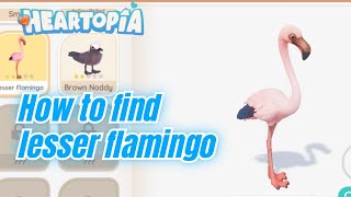 RARE Bird Spawn - how to find lesser flamingo fast in Heartopia screenshot 3