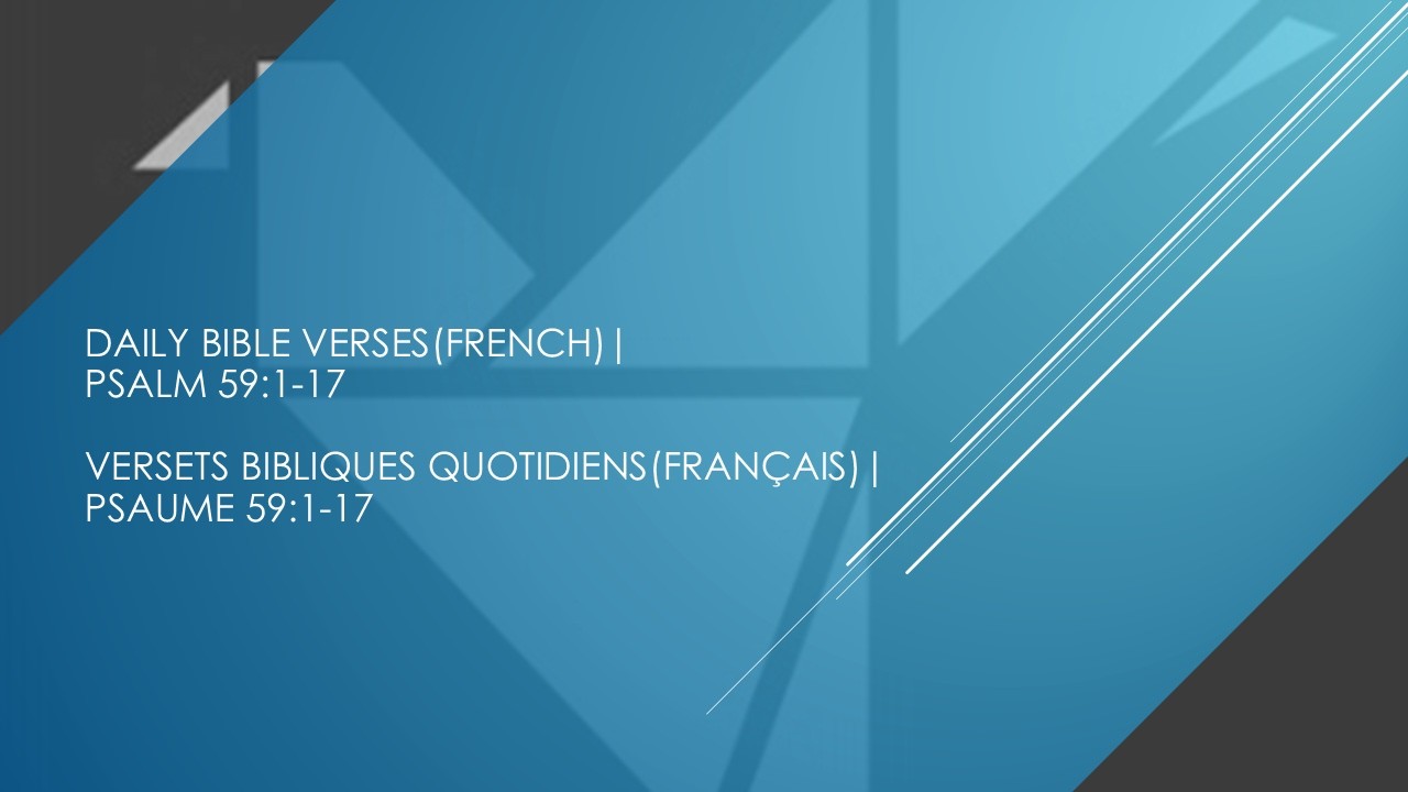 VVLGlobal-Ebullient Services
