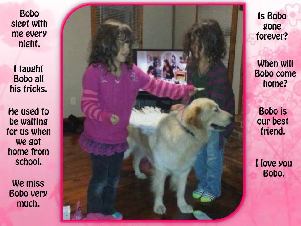 Get Bobo Home!! YouTube