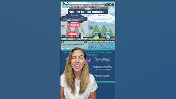 Nature Based Solutions are the most effective and impactful climate solutions  #marinebiology