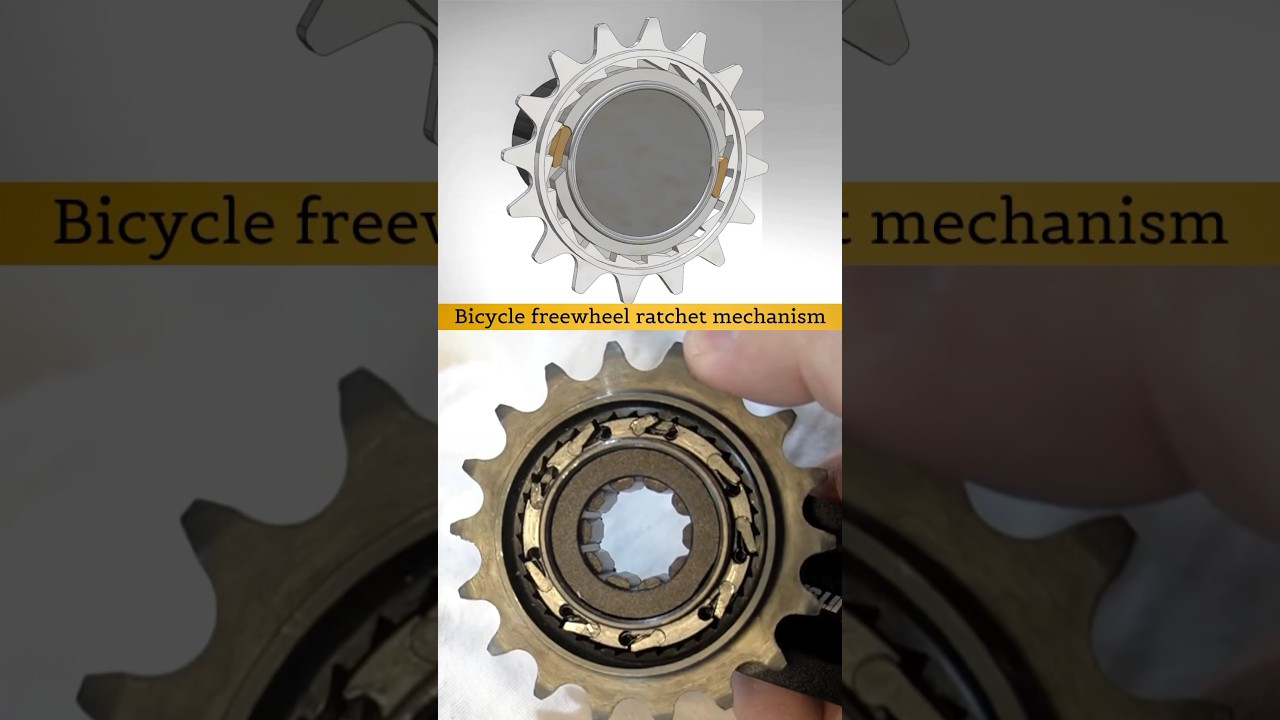 Bicycle freewheel ratchet mechanism 🙌✅ 