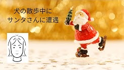 ビーチ ハロー フロム ロング