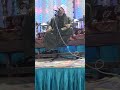 الشيخ محمود ابراهيم حفلة الاحمديه 