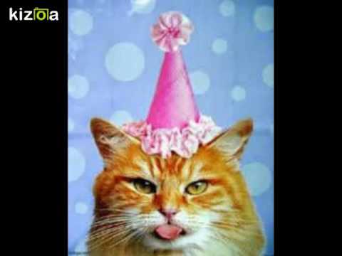 Montage Video Kizoa Joyeux Anniversaire Les Chats Youtube