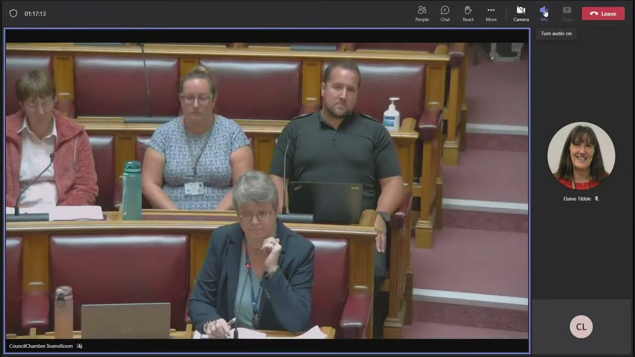 Licensing sub committee YouTube