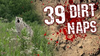 39 FOXPRO Kills | Awesome Coyote Hunting Resimi