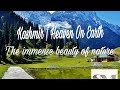 Kashmir | Heaven On Earth | Beauty of Kashmir | Jammu & Kashmir | Natural Beauty of Kashmir