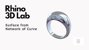 Surface from Network of Curves