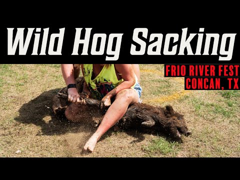 Frio River Fest Wild Hog Sacking