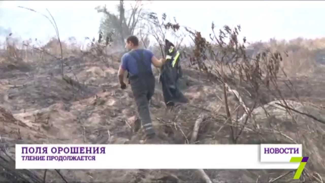 Поля орошения магнитогорск кладбище карта