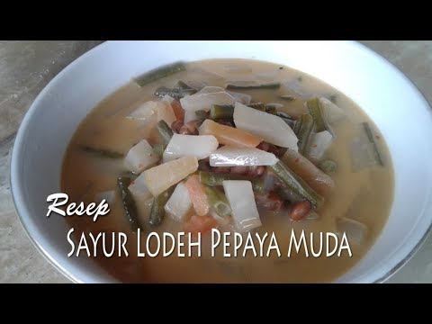 resep-sayur-lodeh-pepaya-muda